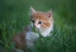 九游在线玩-_热火坚持防守，击退对手反扑_，热火队的联防战术