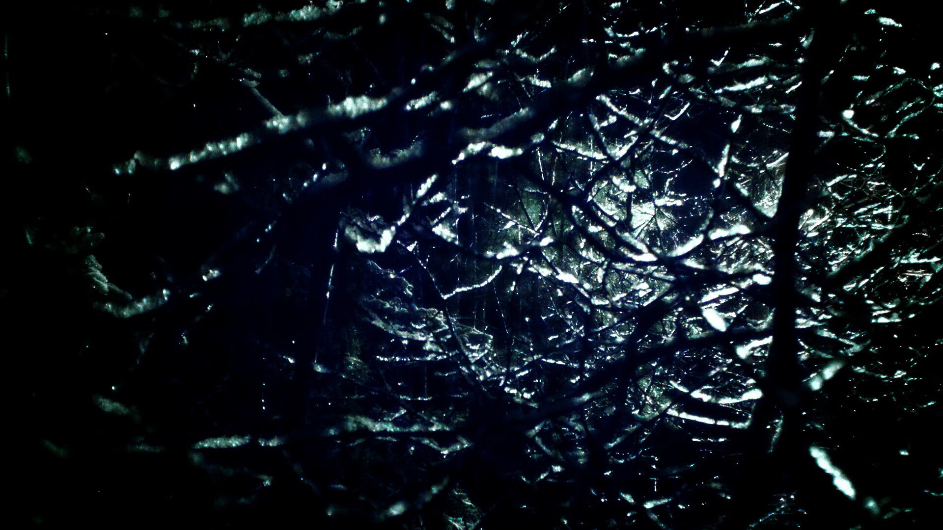 “中超大牌外援纷纷续约，联赛稳定性增强”，中超引进的最大牌外援