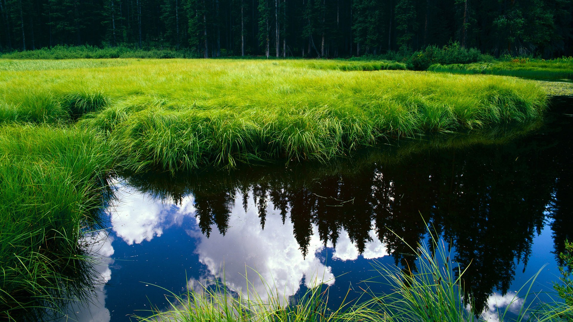 “高原极速：雪山顶端的孤独追逐”，高原上的雪山