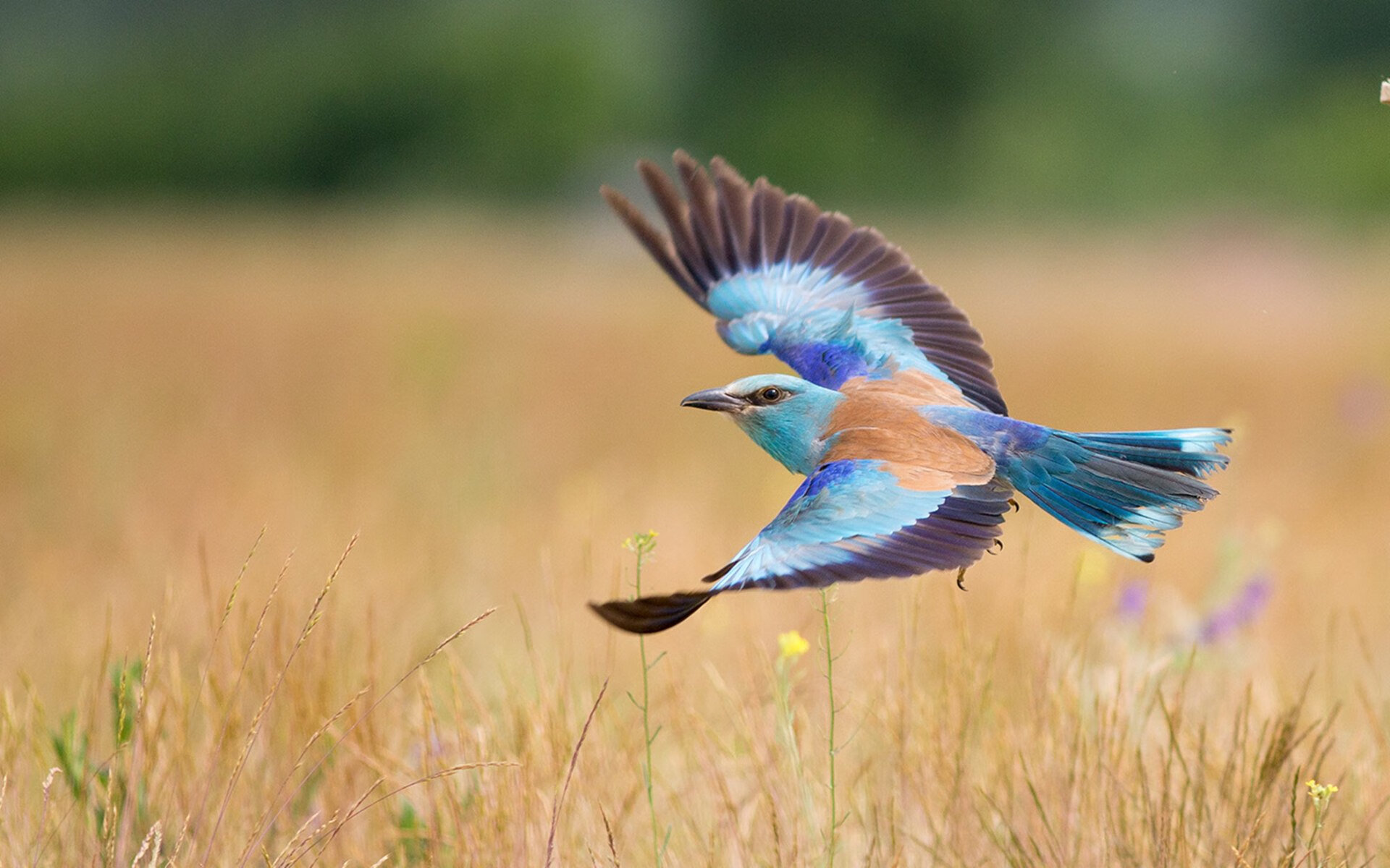 全国青少年“冰雪篮球”运动首次结合冬季运动亮相吉林，冰雪运动比赛