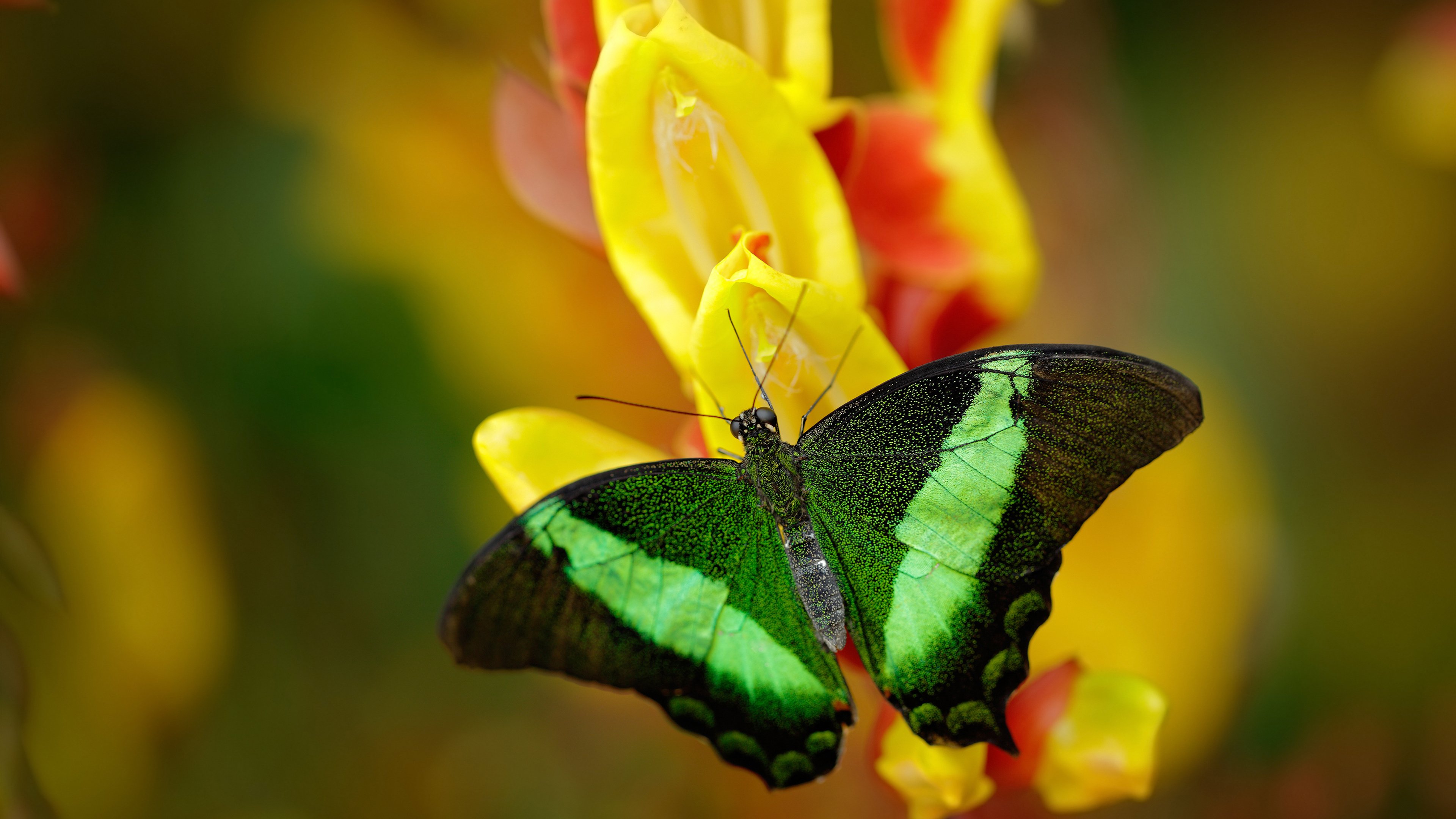 全国青少年“篮球HOPE”慈善公益赛火热进行中，全国青少年篮球公开赛